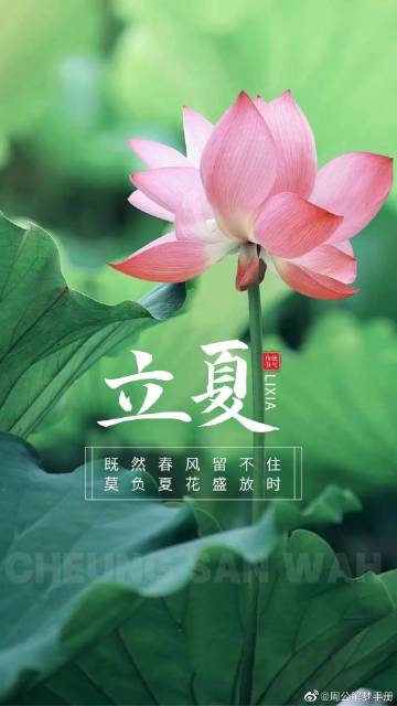 周公解梦手机版周公解梦原版官网
